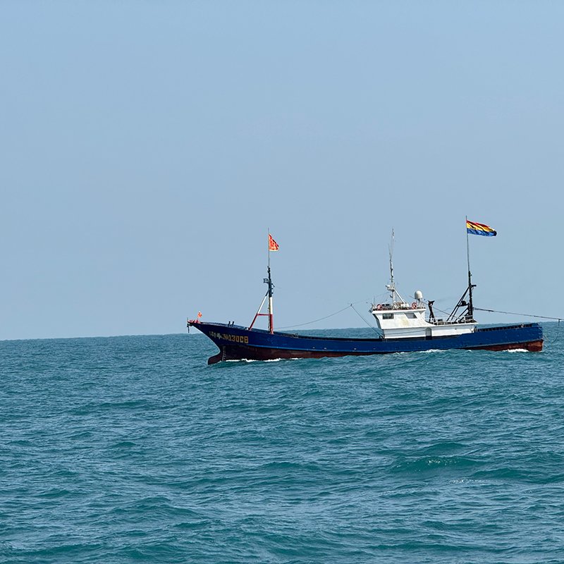 浙奉渔渔船拖网